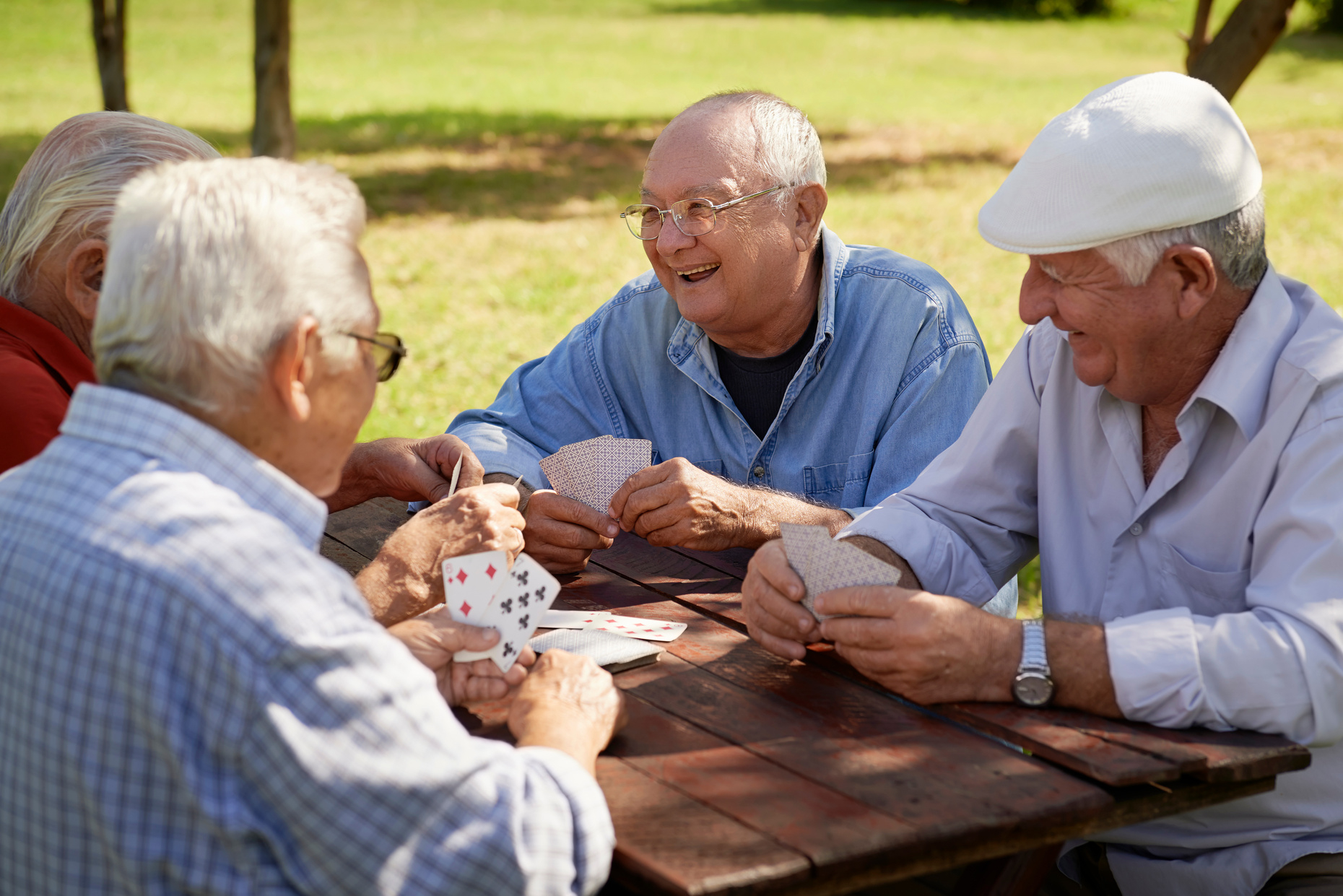 Group of Old Friends Playing Cards at Park